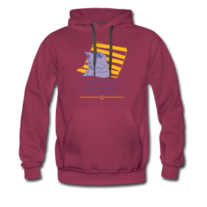 Concentrated Cat Men’s Hoodie - burgundy